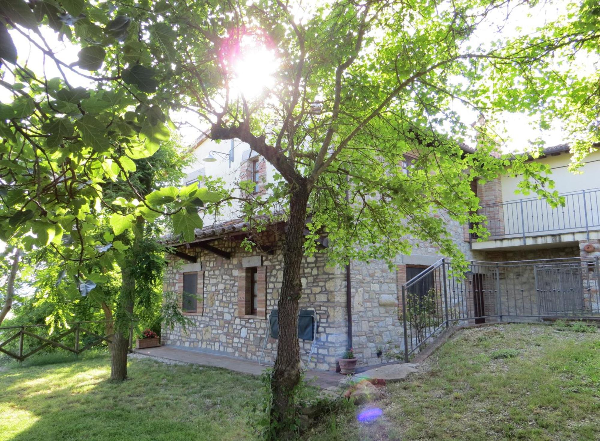 Agriturismo Casale Delle Lucrezie Todi Eksteriør billede